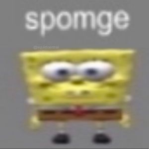 Meet your Posher, Alli